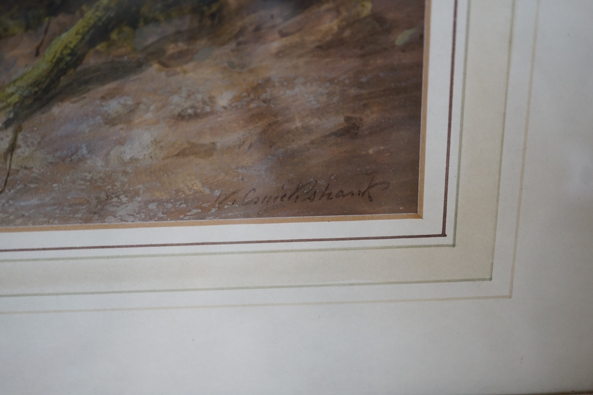 William Cruikshank (1849-1922), watercolour and gouache, Study of a dead bird, signed, 23 x 34cm